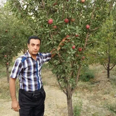 وحید نصیری فر