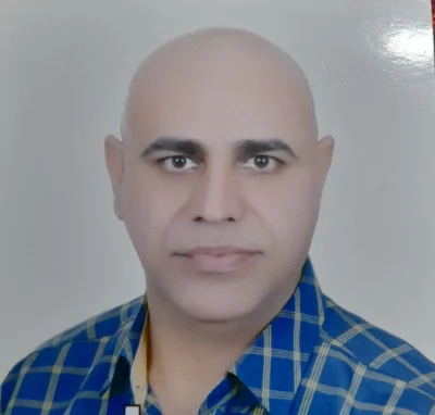 حمید ربیع