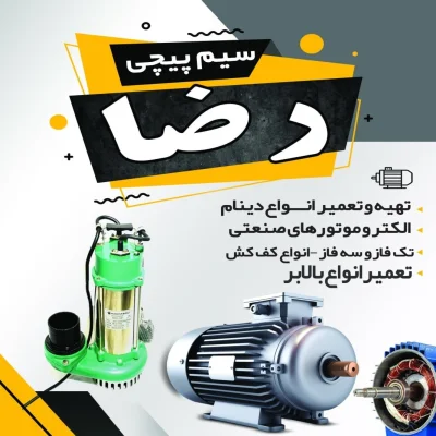 رضا محمدلوی شبستری