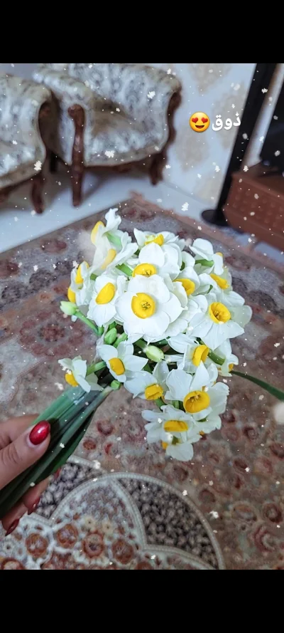 مهناز مقدم