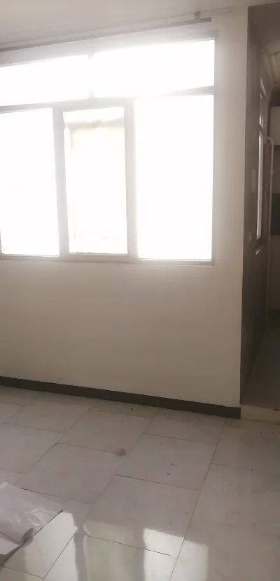مسعود 