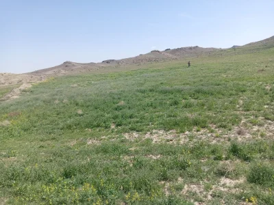 متخصص 9158701947