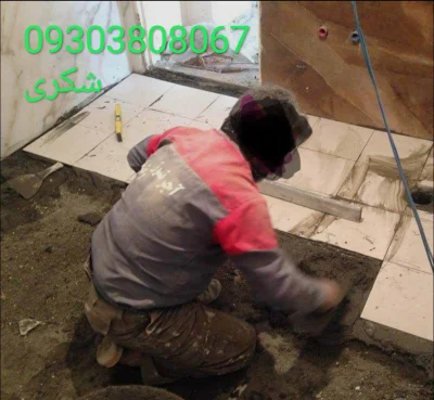  محمدرضا شکری
