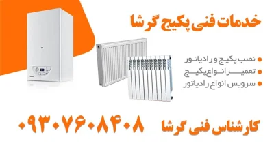 منوچهر گرشاسبی