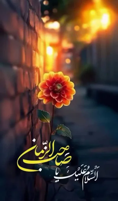 متخصص 9130754510