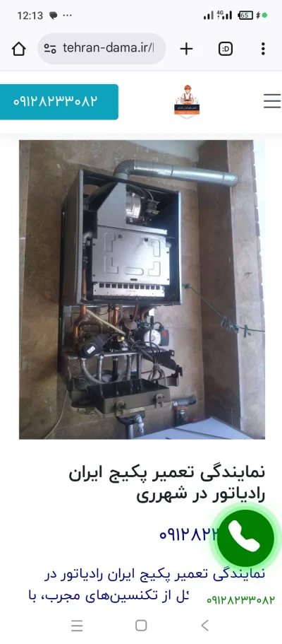 ایدین فرجی