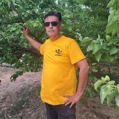 سید علی ایزدی 