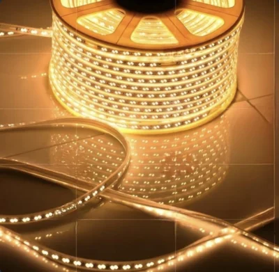 پوریا طلوع 9192925502