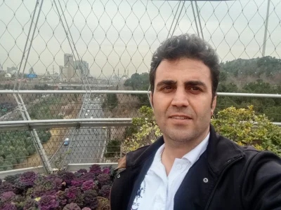 حامد